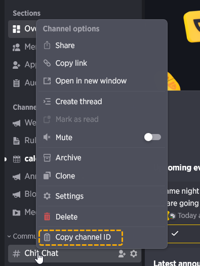 Discord Developer Mode in a Nutshell 